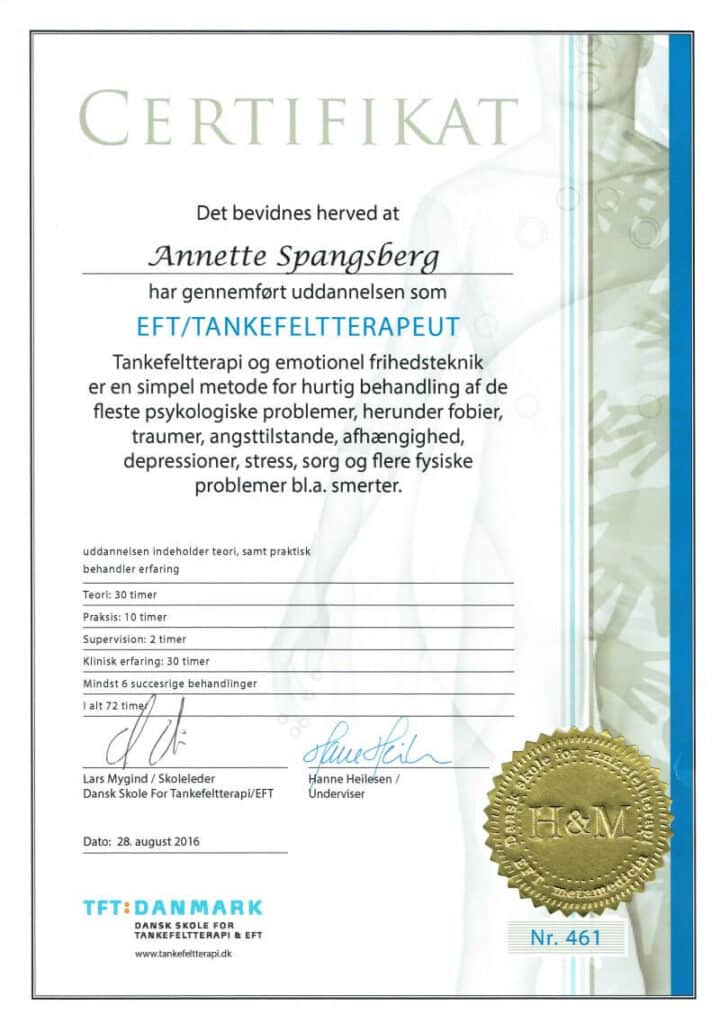 eksamens bevis i tankefeltterapi