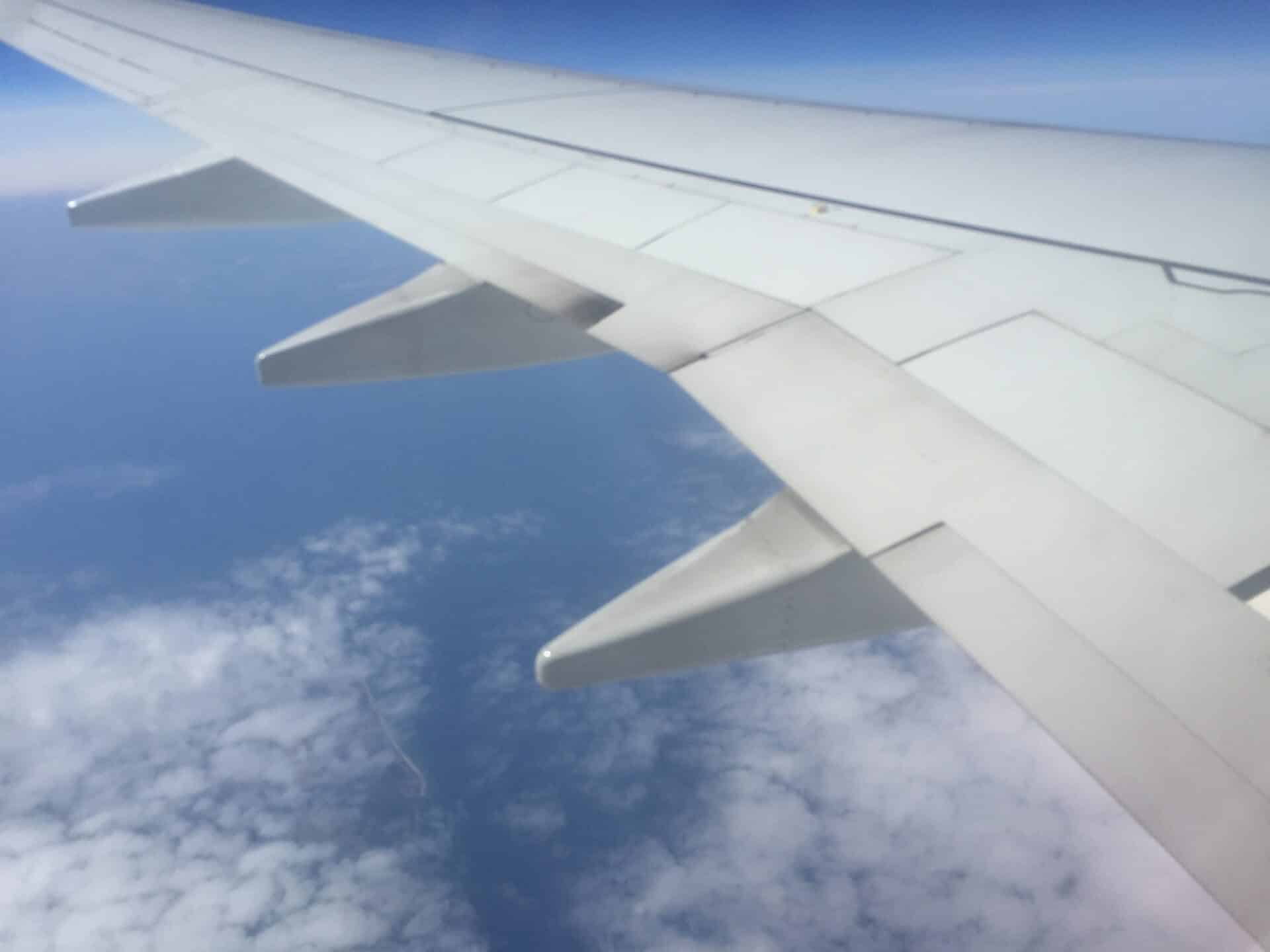 flyskræk behandling med tankefeltterapi