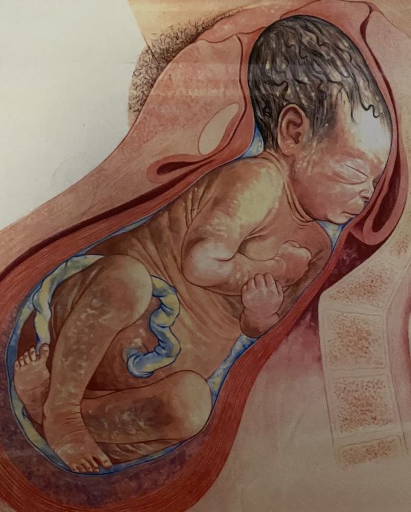 fødsel af baby - er det nemt eller svært