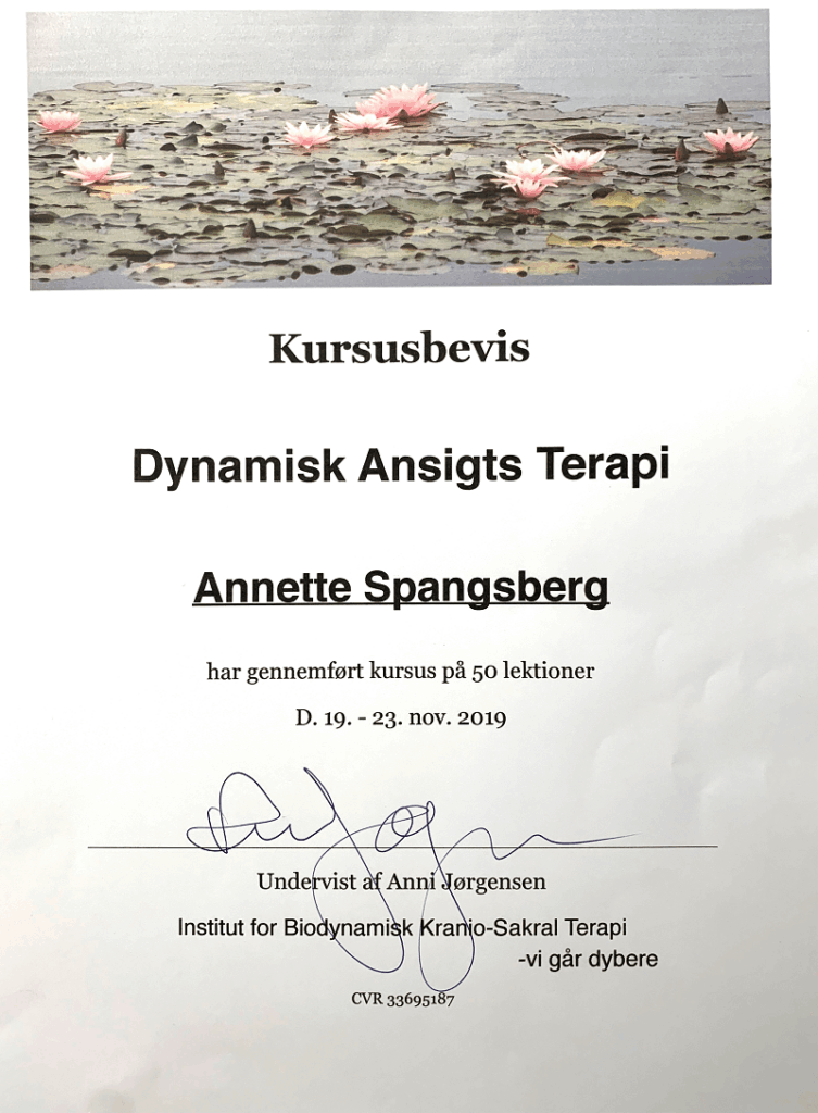 dynamisk ansigt terapi kursus bevis for 50 lektioner