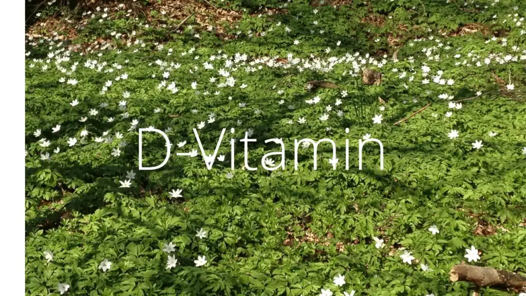 D-vitamin 10 tegn på at dit d-vitamin er for lavt