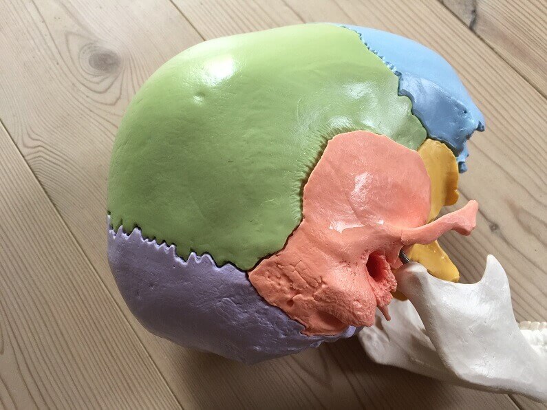 Hovedpine behandles med kranio-sakral terapi