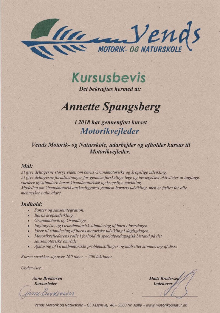 Motorikvejleder uddannelse kursus bevis